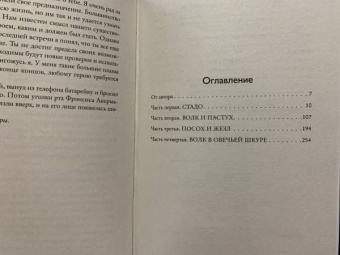 Итан Кросс: Пастух