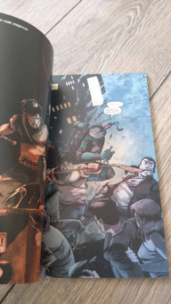 Валтс, Линч, Бернем: Подростки Мутанты Ниндзя Черепашки. Герои