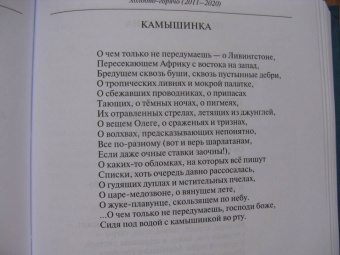 Григорий Кружков: Бирнамский лес. Избранные стихи и проза