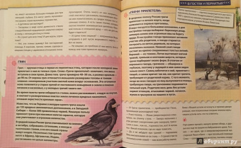 Валентина Мальцева: Открываем тайны леса