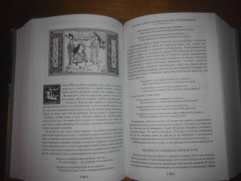 Тысяча и одна ночь. Книга 3. Ночи 719–1001