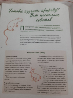 Стегман, Янсен: Наши соседи по планете. Рассказы о диких животных