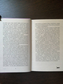 Михаил Самарский: Корабельные приключения кота Сократа