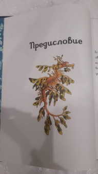 Лавдэй Триник: Океанариум