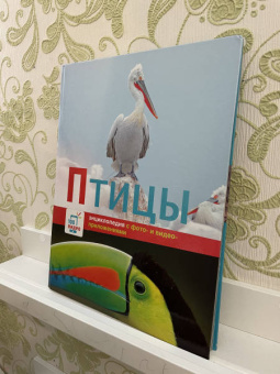 Птицы