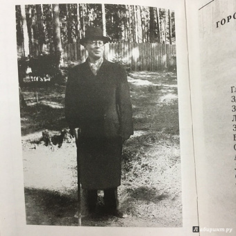 Николай Заболоцкий: Признание
