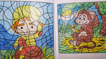 Василий Почкин: Раскраска по номерам. Посчитай цвета