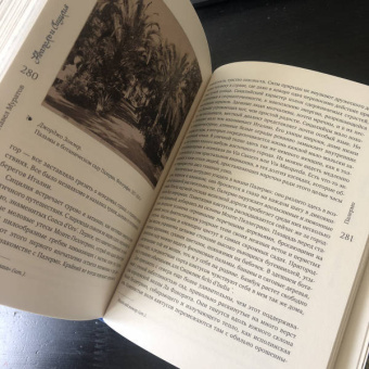 Павел Муратов: Образы Италии. Том 2. Рим. Лациум. Неаполь и Сицилия