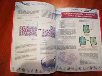 Ольга Соколова: Как одна маленькая клетка изменила целый мир!