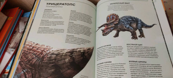 Раймунд Фрей: Динозавры в натуральную величину