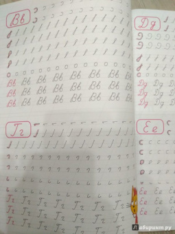 Три кота. Каллиграфические прописи. Буквы и цифры