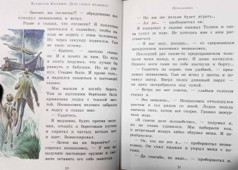 Владислав Крапивин: Дети синего фламинго