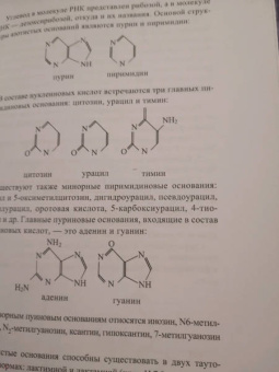 Осипова, Шустов: Биоорганическая химия