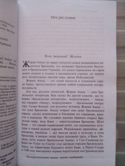 Жоржи Амаду: Габриэла, гвоздика и корица