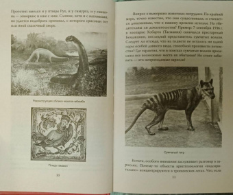 Непомнящий, Комогорцев: Истоки русского бестиария