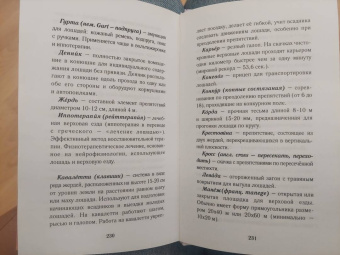 Елена Бодрова: Продавец счастья. Магия кинематографа, или Новые приключения Ское