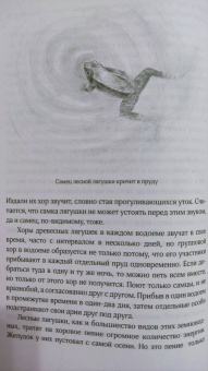 Бернд Хайнрих: Лето. Секреты выживания растений и животных в сезон изобилия