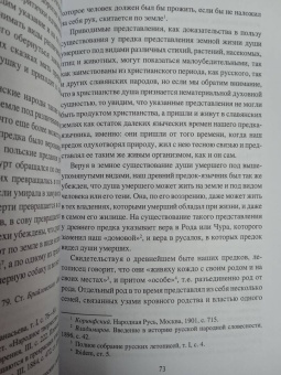 Станислав Ермаков: Загробный мир и погребальные обычаи славян