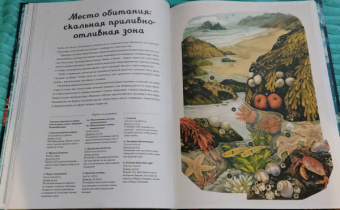 Лавдэй Триник: Океанариум