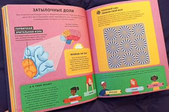 Тим Кеннингтон: Его величество мозг. Все самое интересное о работе мозга людей, животных и роботов