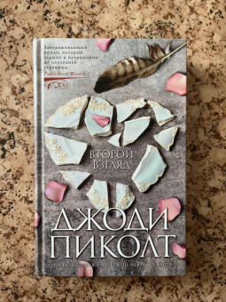 Джоди Пиколт: Второй взгляд