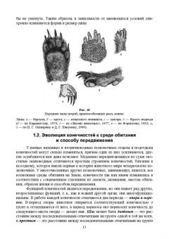 Анатолий Суворов: Основы полевых наблюдений. Полевое следопытство. Учебник для ВУЗов