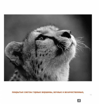 Бредли Грив: Дорогой папочка. Отец, друг и герой