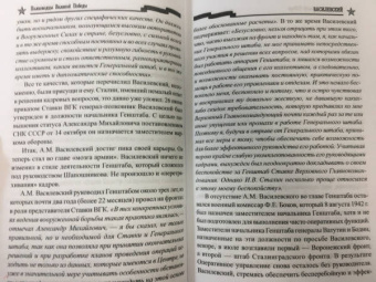 Владимир Дайнес: Василевский