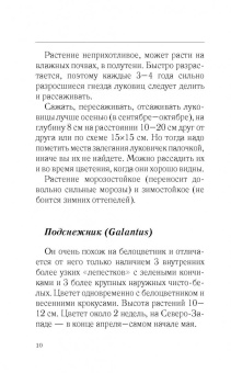 Галина Кизима: Красивый сад с весны до осени без особых усилий
