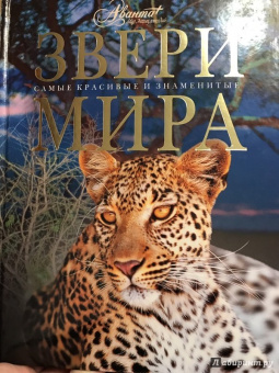 Звери мира