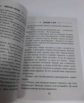 Николай Свечин: Дознание в Риге
