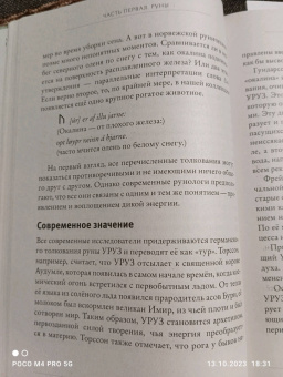 Диана Паксон: Руническое искусство. Путеводитель по использованию рун в заклинаниях, ритуалах и гадании