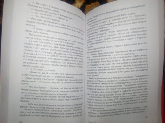 Паскаль Энгман: Огненная земля