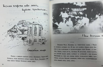 Марина Цветаева: Мне нравится, что Вы больны не мной