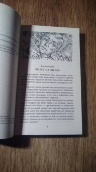 Кузьма Петров-Водкин: Пространство Эвклида