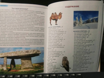 Людмила Соколова: Что? Где? Почему?