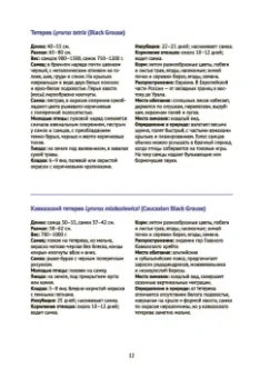 Владимир Храбрый: Птицы Европейской части России. Фотоопределитель