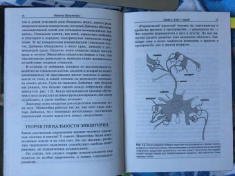 Венгер, По: Фактор Эйнштейна, или Как развить феноменальную память и скорость чтения