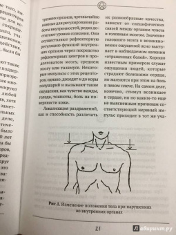 Александр Огулов: Висцеральный Массаж внутренних органов. Основы
