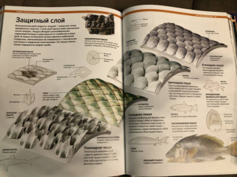 Малиция, Сориано, Фернандес: Тайны планеты Земля. Большая иллюстрированная энциклопедия