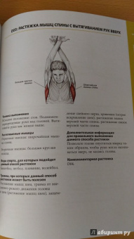 Анатомия стретчинга. Большая иллюстрированная энциклопедия