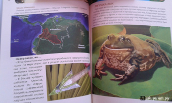 Ольга Тяжлова: Удивительные животные