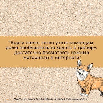 Мила Вельш: Очаровательные корги. Походка, которая вдохновляет!
