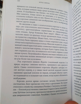 Бернд Хайнрих: Зима. Секреты выживания растений и животных в самое суровое время года