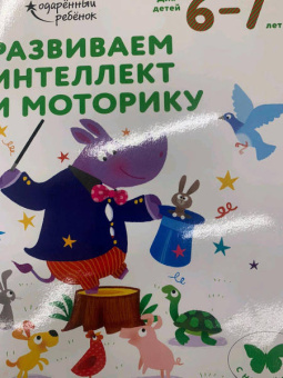 Развиваем интеллект и моторику. Для детей 6-7 лет