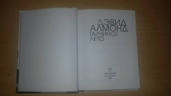 Дэвид Алмонд: Галчиное лето