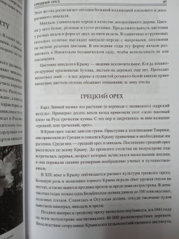 Николай Непомнящий: 100 великих загадок Крыма