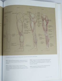 Роберто Ости: Основы анатомии человека. Наглядное руководство для художников