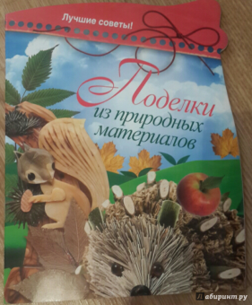 Ольга Захаренко: Поделки из природных материалов. Лучшие советы