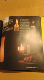 Теодор Грэй: Реакции